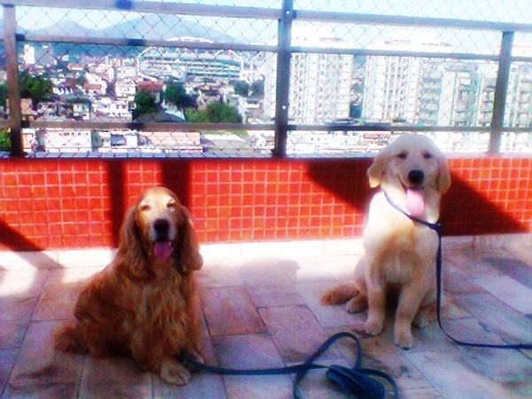 Imagem